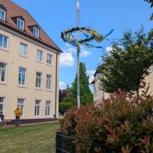 ... sondern hatten auch den Maibaum im Garten aufgebaut.