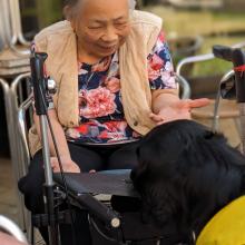 Thi-Nhung Nguyen legt Leckerlies auf ihrem Rollator aus. Foto: Claudia Sucker